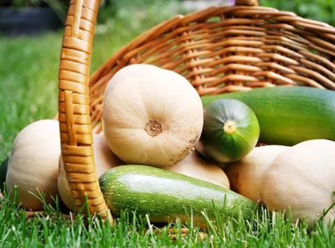 Fresh vegetables Stock Photos