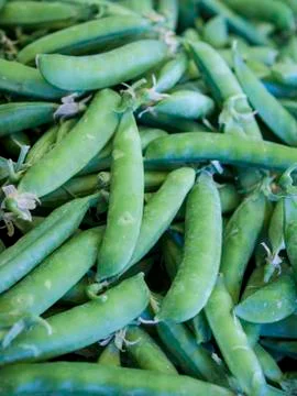 Fresh vegetables Photos