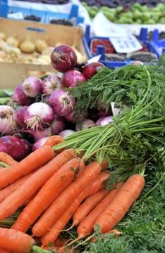 Fresh vegetables Stock Photos