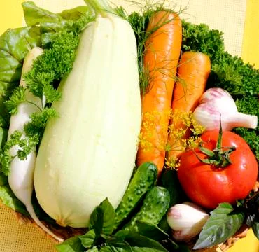 Fresh vegetables Stock Photos