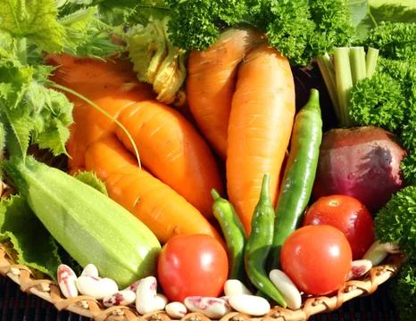 Fresh vegetables Stock Photos
