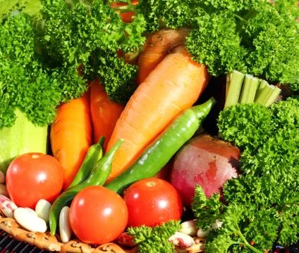Fresh vegetables Stock Photos