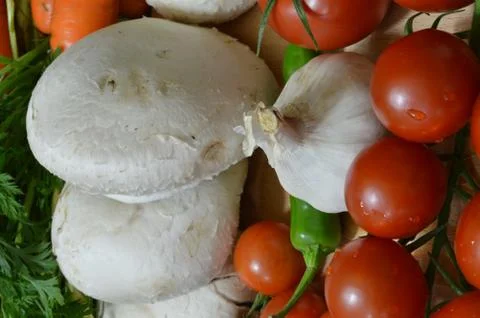 Fresh vegetables Stock Photos