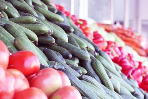 Fresh Vegetables Photos