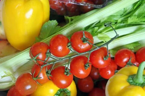 Fresh vegetables 스톡 사진