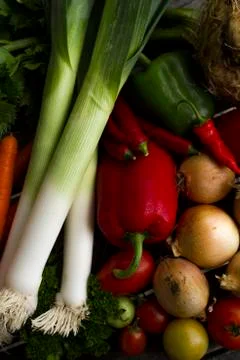 Fresh vegetables Stock-Fotos