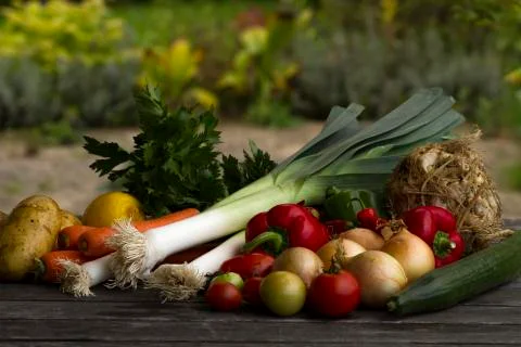 Fresh vegetables Stock-Fotos