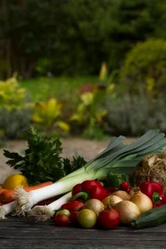 Fresh vegetables Stock Photos