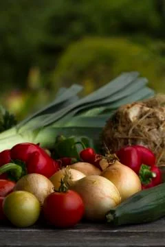 Fresh vegetables Stock-Fotos