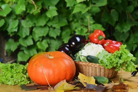 Fresh vegetables Stock Photos