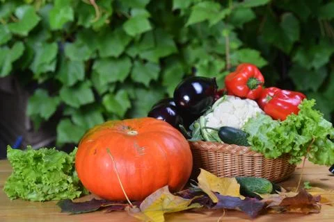 Fresh vegetables Stock Photos