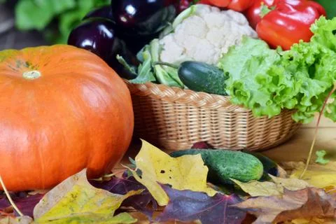 Fresh vegetables Stock Photos