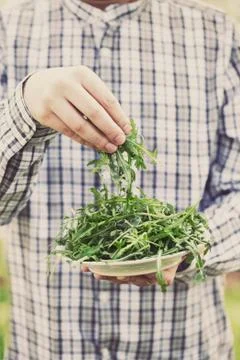 Fresh vegetables Stock Photos
