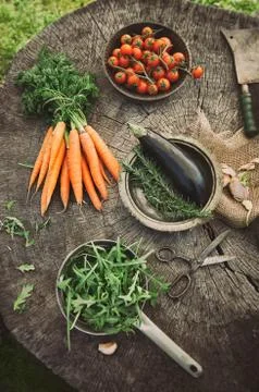 Fresh vegetables Stock Photos