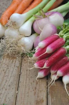 Fresh vegetables Stock Photos