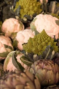 Fresh vegetables 写真素材