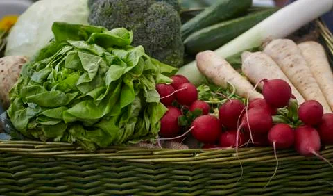 Fresh vegetables Stock Photos