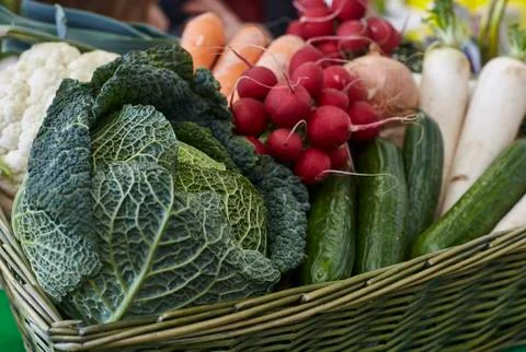 Fresh vegetables Stock Photos