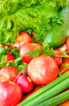 Fresh vegetables Stock Photos