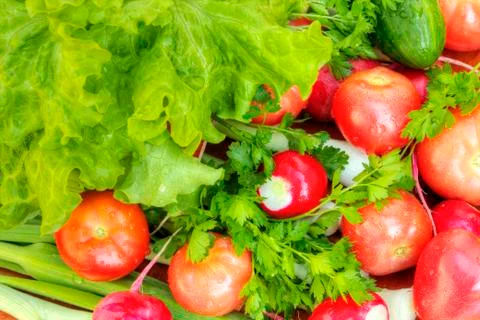 Fresh vegetables Stock Photos
