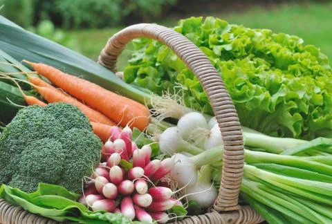 Fresh vegetables Stock Photos