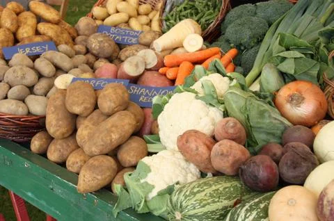 Fresh Vegetables. Stock Photos