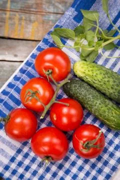 Fresh vegetables Stock Photos