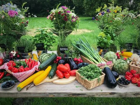 Fresh vegetables Stock Photos
