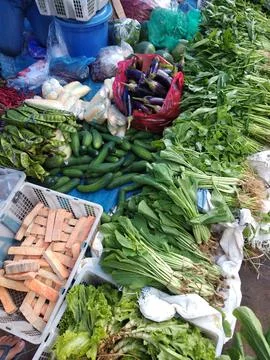 Fresh vegetables Stock Photos