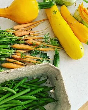 Fresh vegetables Stock Photos
