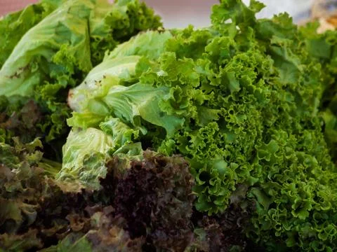 Fresh Vegetables Stock Photos