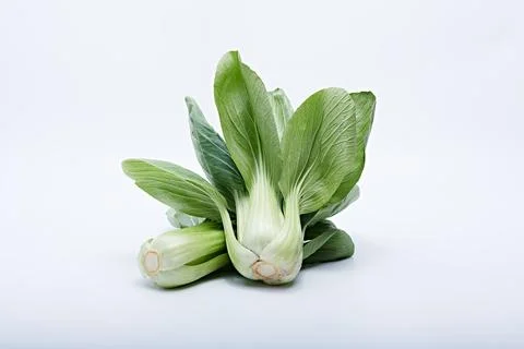 Fresh Vegetables Stock Photos