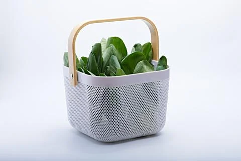 Fresh Vegetables Stock Photos