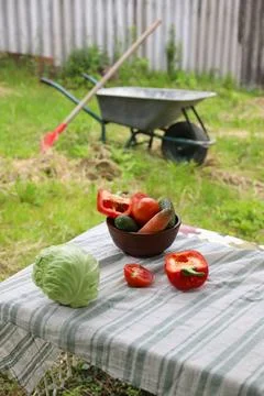 Fresh vegetables Stock Photos