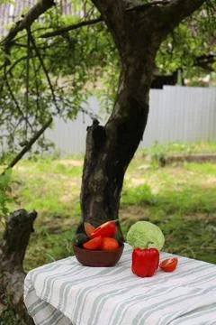 Fresh vegetables Stock Photos
