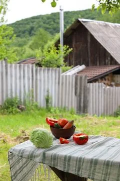 Fresh vegetables Stock Photos