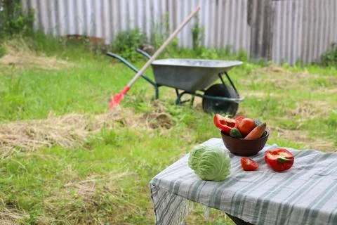 Fresh vegetables Stock Photos