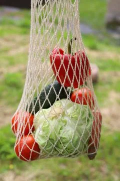 Fresh vegetables Stock Photos