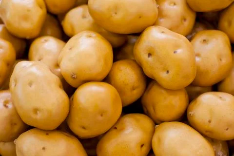 Fresh vegetables, potatoes Stock Photos