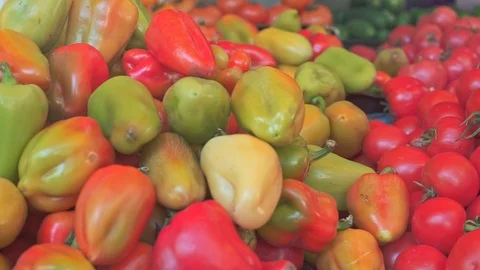 Fresh vegetables, red tomatoes and peppers - for sale in a market. Stock Footage 108011879