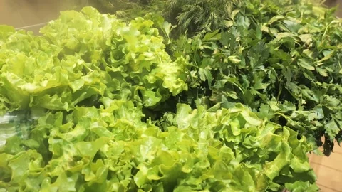 Fresh vegetables in the store in the refrigerator Video stock 223721076