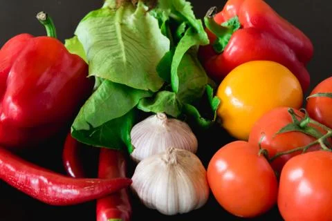 Fresh vegetables on the table Фото
