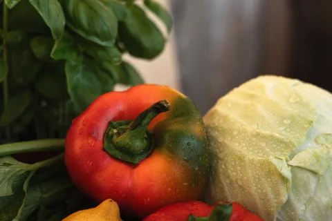 Fresh vegetables on the table Fotos Stock