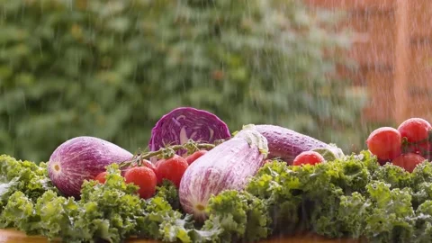 Fresh vegetables under the rain Stock Footage 135864780