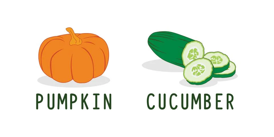 Fresh Vegetables Vector pumpkin &amp; cucumber Stock Illustration