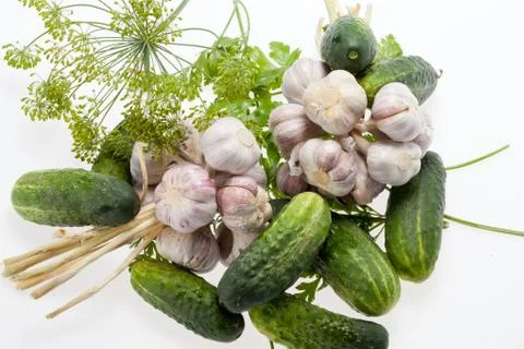 Fresh vegetables on the white background Stock Photos