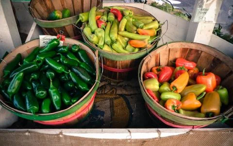 The Fresh Vegtable Baskets Stock Photos