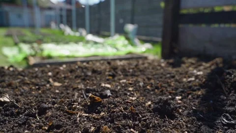 Fresh vermicompost at bottom of compost heap close-up with smooth camera Stock Footage 337866746