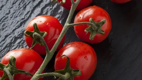 Fresh vine tomatoes Stock Footage 76328010