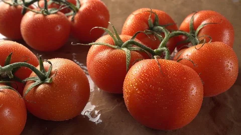 Fresh Vine Tomatoes Stock Footage 108457202